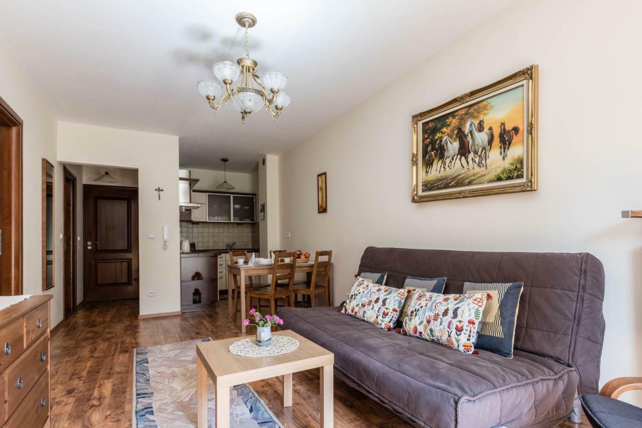 Apartamenty Przy Potoku Ζακοπάνε Εξωτερικό φωτογραφία