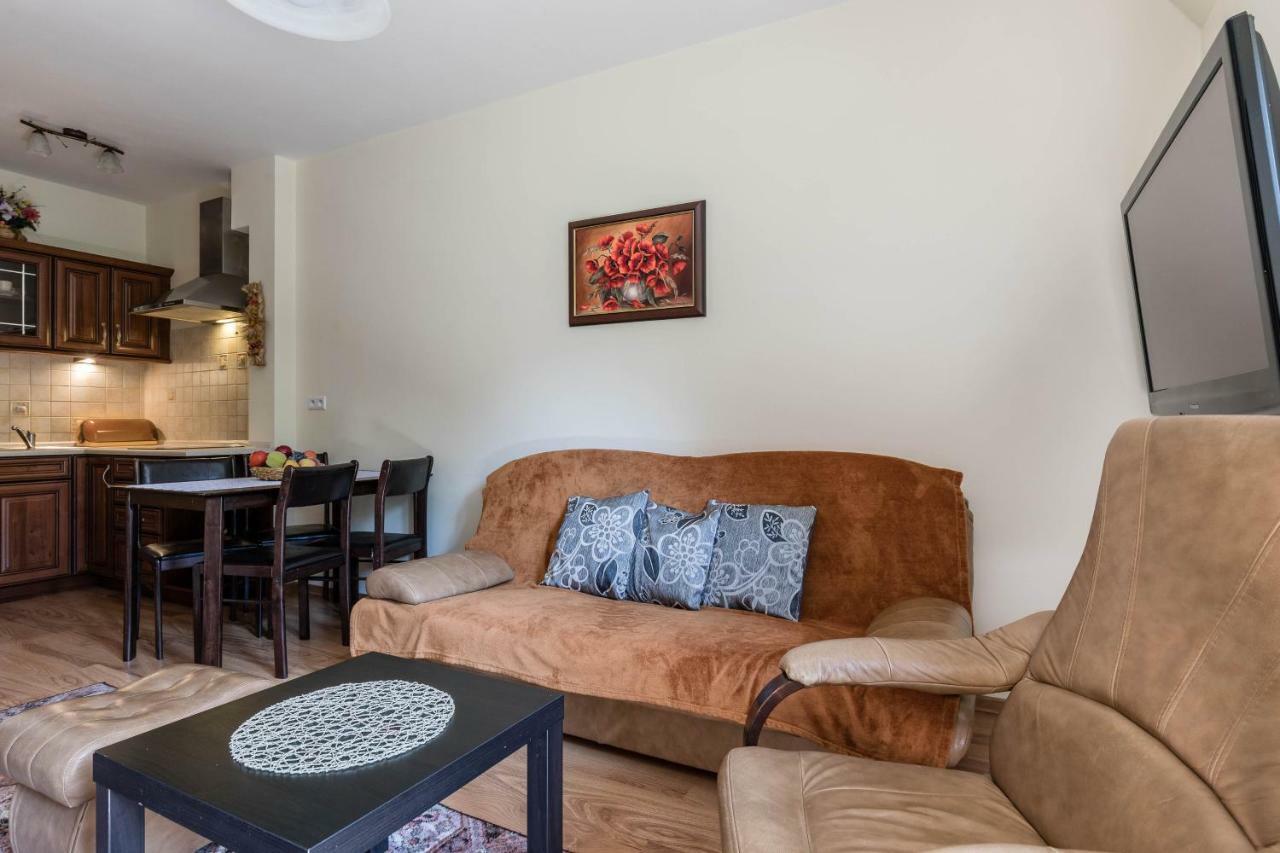 Apartamenty Przy Potoku Ζακοπάνε Εξωτερικό φωτογραφία